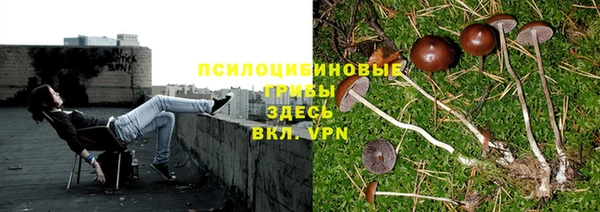 не бодяженный Балабаново