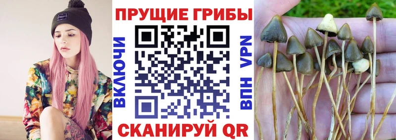 Псилоцибиновые грибы ЛСД Кунгур