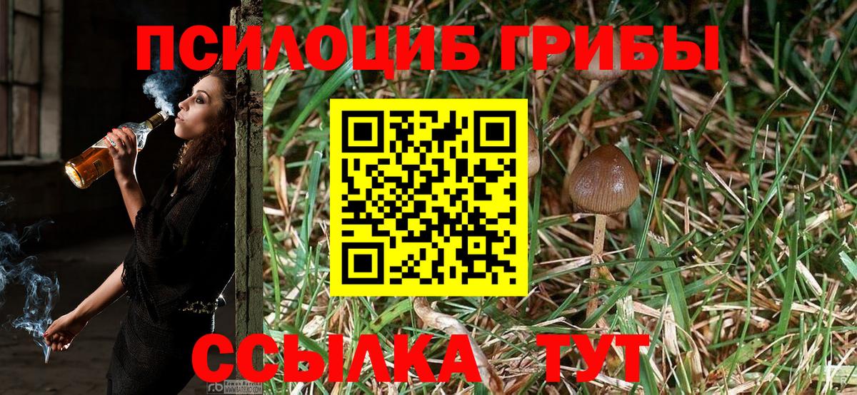 Галлюциногенные грибы Cubensis Кунгур